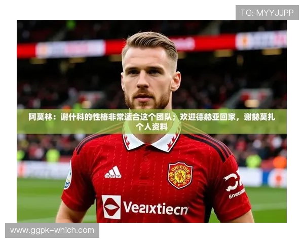 九游娱乐app赞助不莱梅h的详细背景与合作内容全面解析